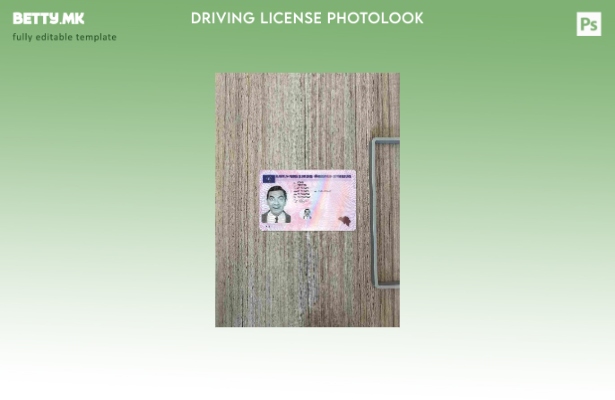 Модерен стил Belgium DL photolook FRONT шаблон